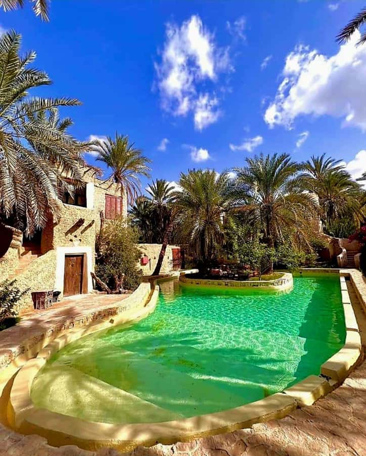 2 Nights 3 Days at Siwa Oases camp from Cairo - Salt lakes, Cleopatra Spring, Fitnas Island, and local meals under stars