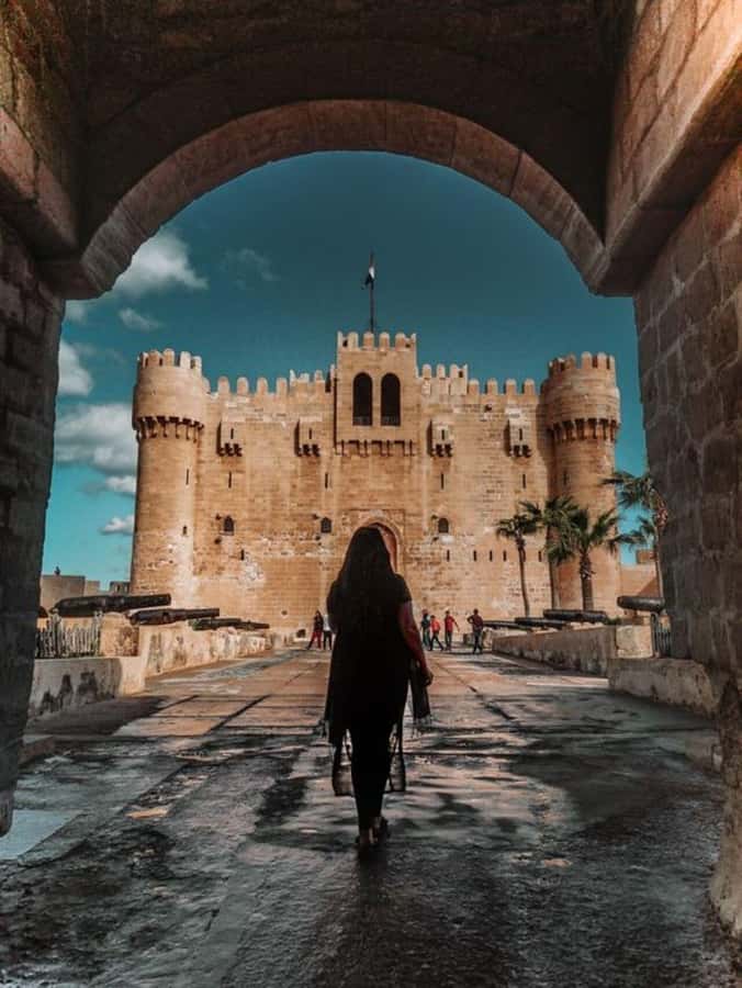 Alexandria Female Guided with Catacombs & Alexandria Library - Pompey’s Pillar and the old downtown photo break