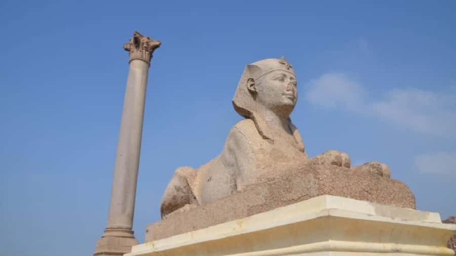 Alexandria: Guided Day Tour with Entry Tickets and Lunch - Key highlights worth your attention