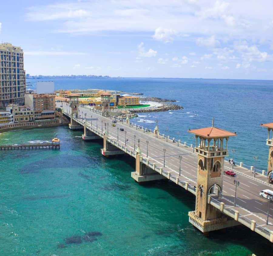Alexandria: Guided Day Tour with Entry Tickets and Lunch - Who this Alexandria tour suits best