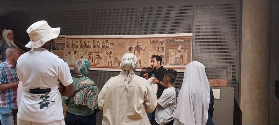 Alexandria Library Exclusive Guided Walking Tour - Reading Hall: where the multilingual collection steals the show