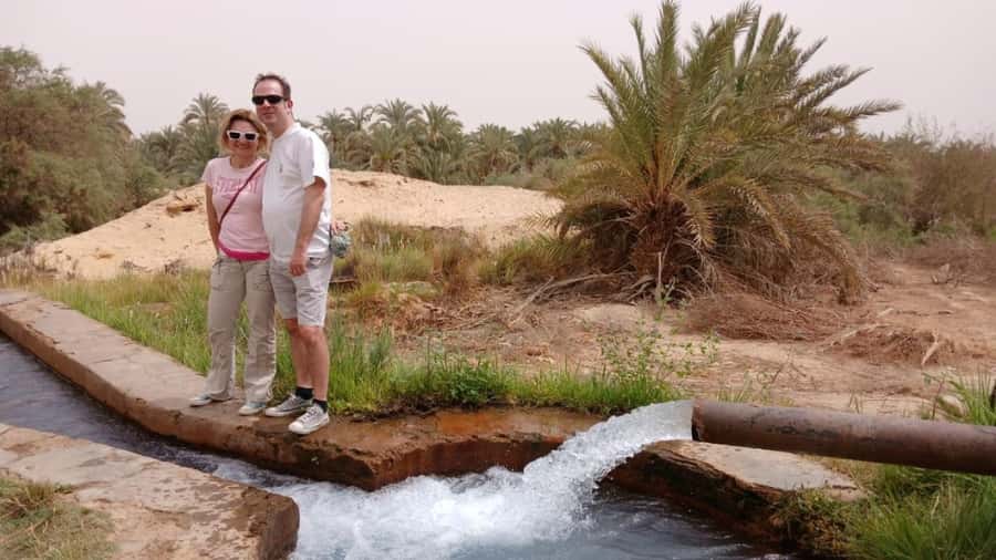 Cairo: 3-Day Private Siwa, El-Alamein & Safari Adventure. - Alamein Military Museum: a WWII stop that makes the drive feel purposeful