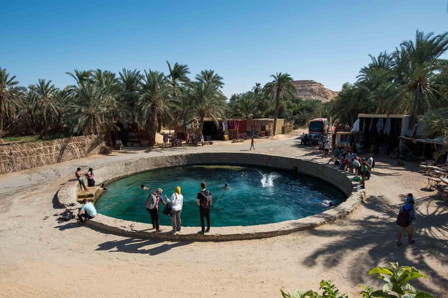 Cairo: 3-Day Siwa Oasis Tour, Safari, Camp & Historical Site - From Cairo to Siwa: why the long drive is part of the magic