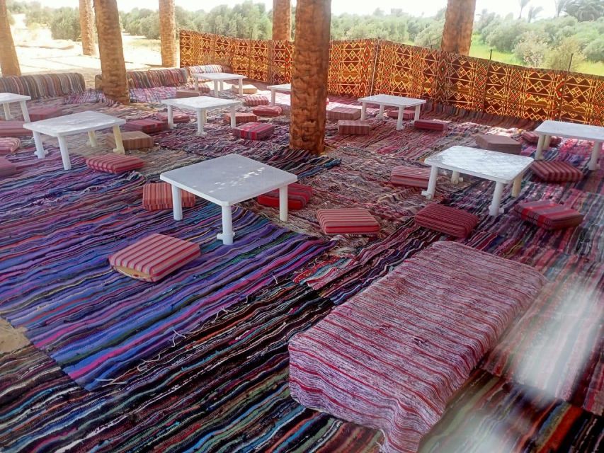 Cairo: 5-Day Siwa Oasis, WWII, Amun Temple & Hot Springs - Ghaliet Ecolodge & Spa: where you reset after the desert