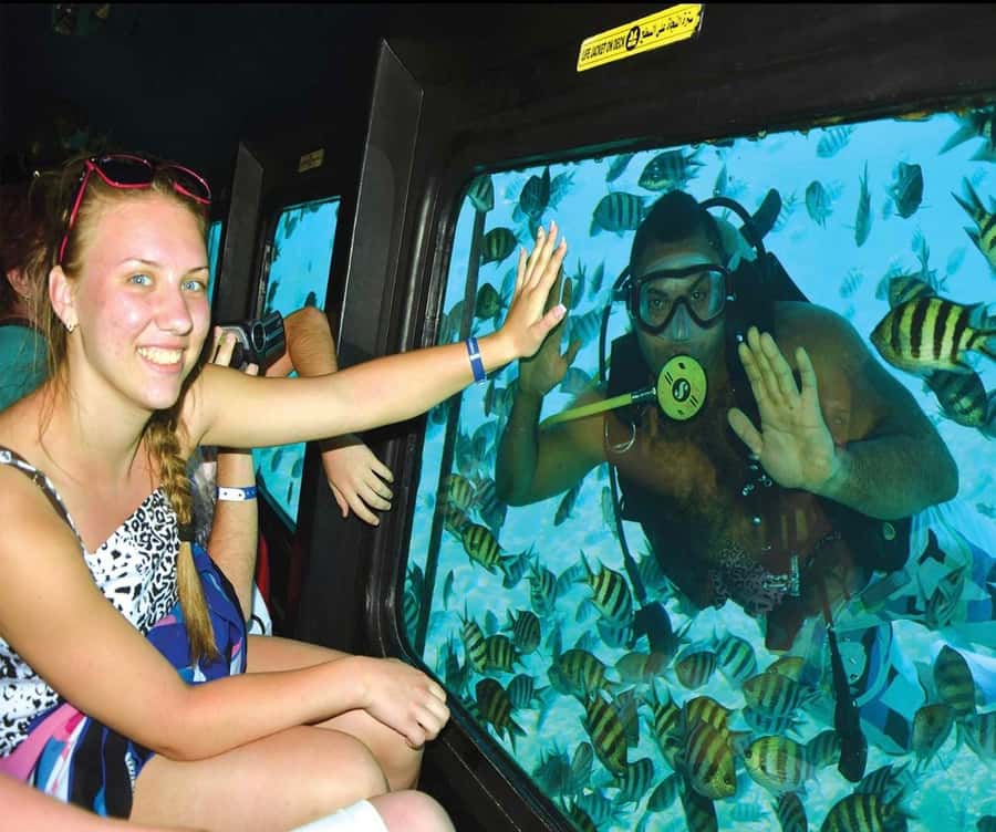 Cairo: Ain Sokhna Semi-Submarine with optional Transfer - Price and Value: Is $28 Worth It?