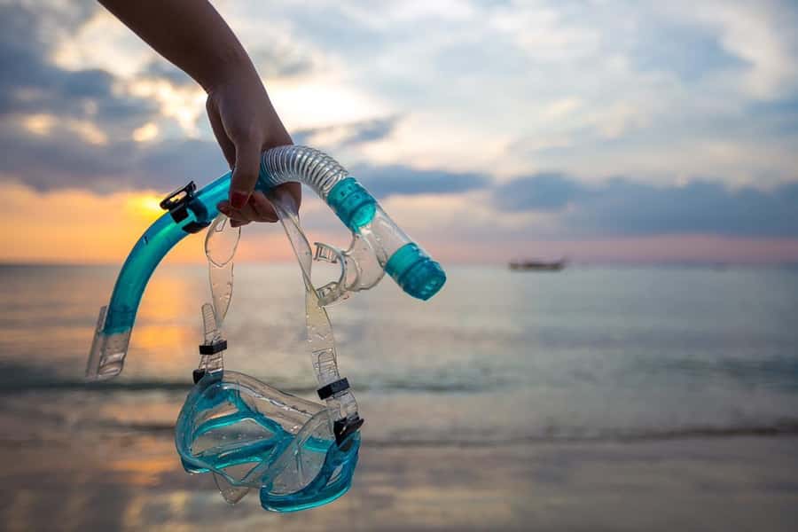 Cairo: Ain Sokhna Snorkeling cruise & optional transfer - Who this trip suits best (and who should think twice)