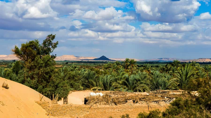 Cairo: Bahariya Oasis & White Desert 3-Day Private Adventure - Price and value: what $245 includes (and what it doesn’t)