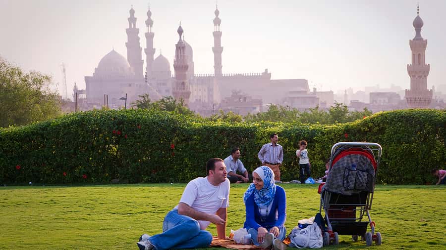Cairo: Cairo by Night Tour and Dinner at EL Azhar Park - Al Azhar Park after dark: huge gardens and real city views