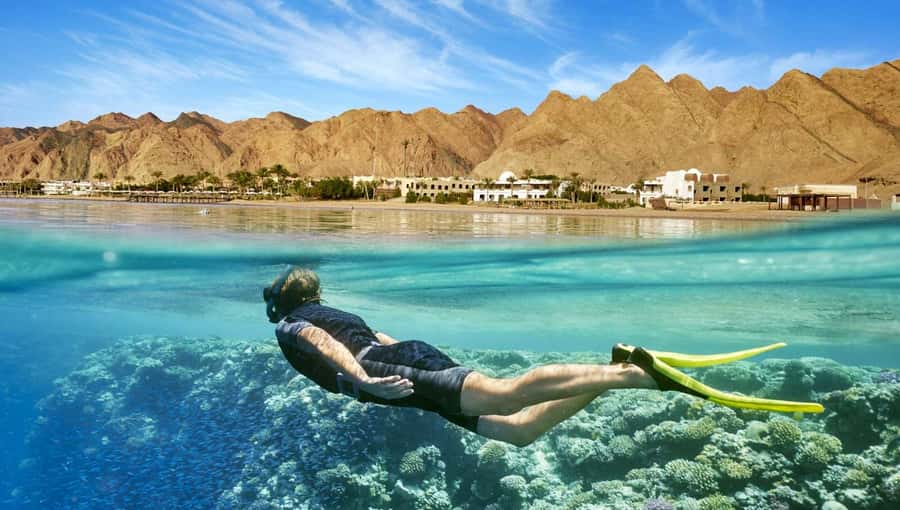 Cairo: Day Tour to the Red Sea with Lunch - Swims, sun, and beach chair time on the Red Sea