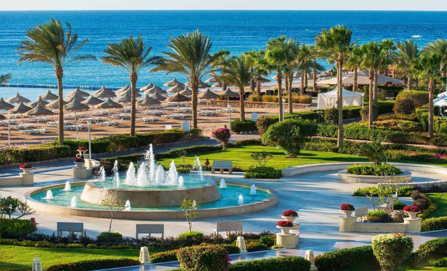 Cairo: Day Tour to the Red Sea with Lunch - Beachfront day room: The underrated comfort upgrade