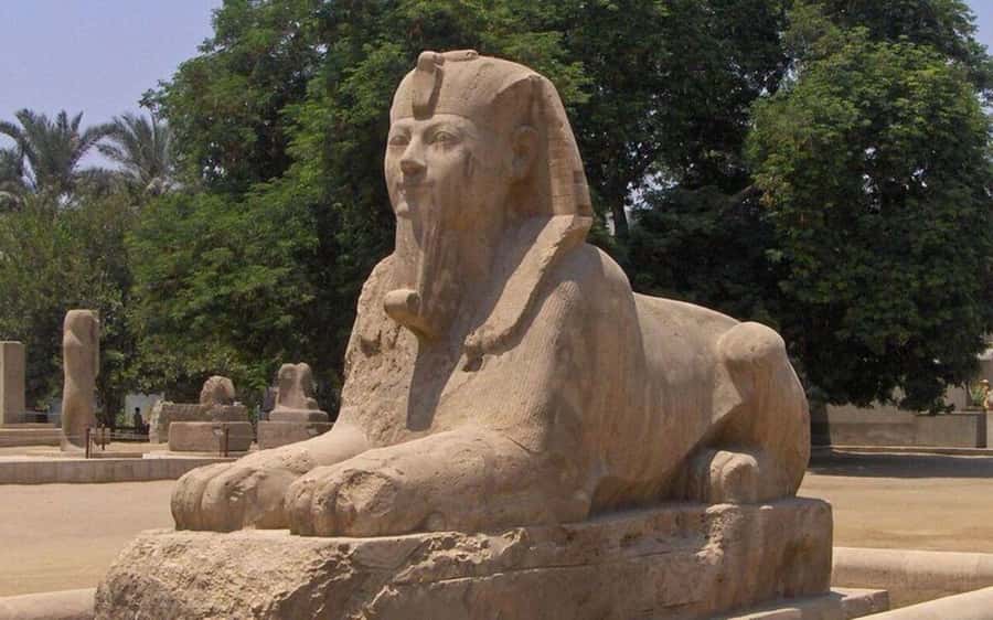 Cairo: Djoser Pyramid & Memphis Private tour with transfers. - Who this tour fits best (and who should consider alternatives)