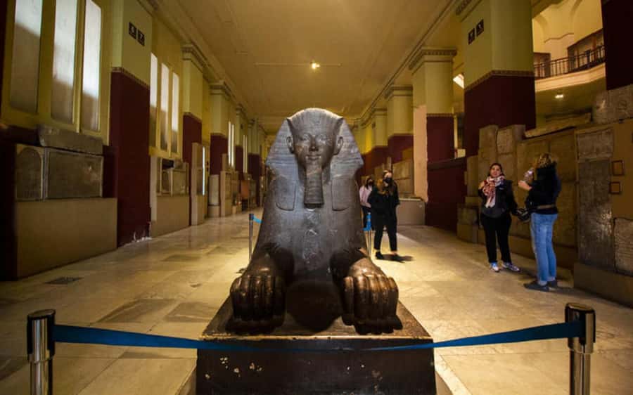 Cairo: Egyptian Museum Private Half Day Guided Tour - Who This Tour Is Best For