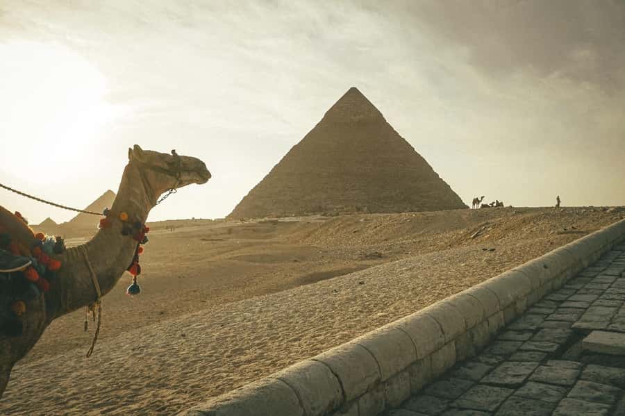 Cairo: Giza Pyramids Camel Ride and Egyptian Museum Tour - Getting around Cairo: pickups, transfers, and comfort tips