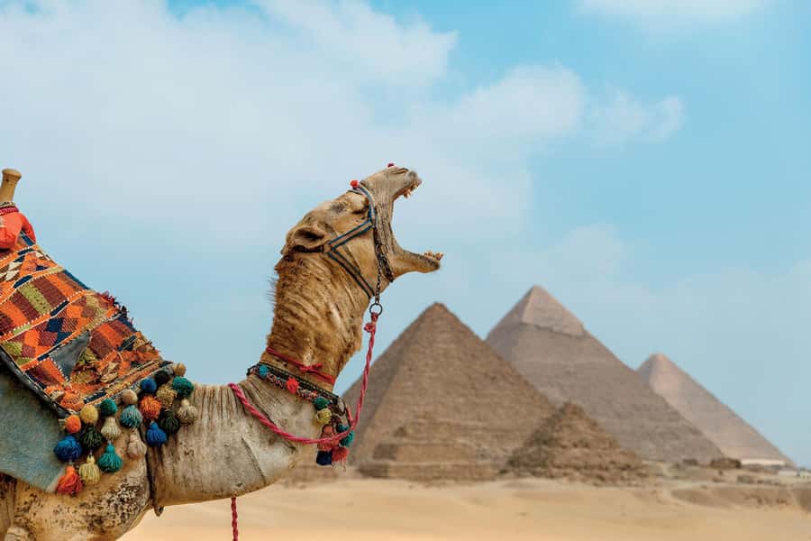 Cairo: Giza Pyramids Camel Ride and Egyptian Museum Tour - Guides and language: why it matters more than you think