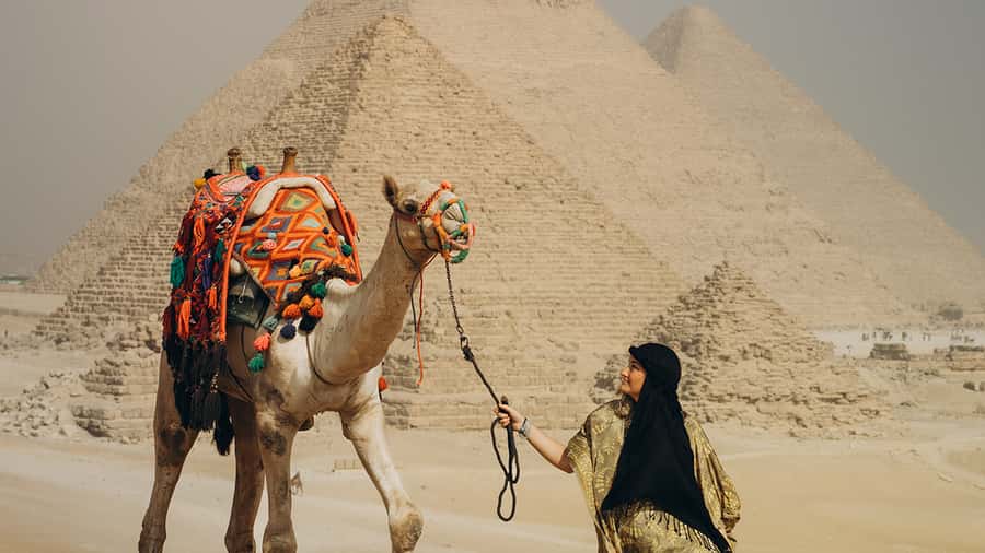 Cairo: Giza Pyramids Camel Ride and Egyptian Museum Tour - The Egyptian Museum: from 170,000 artifacts to real context