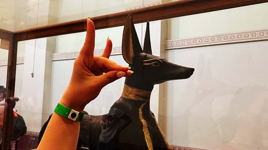 Cairo: Giza Pyramids, Egyptian Museum & Nile Dinner Cruise. - Transfers, timing, and how to survive Cairo traffic