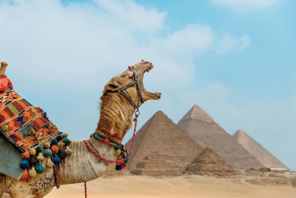 Cairo: Giza Pyramids, Sakkara and Dahshur Private Day Tour - 08:00 hotel pickup and why the private guide matters