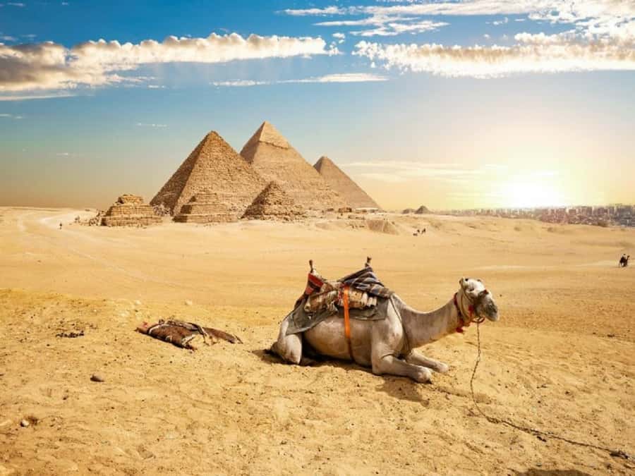 Cairo: Giza Pyramids, Sakkara & Dahshur All-Inclusive Tour - Giza’s Great Pyramid day: Cheops, Chephren, and Mykerinus in one sweep