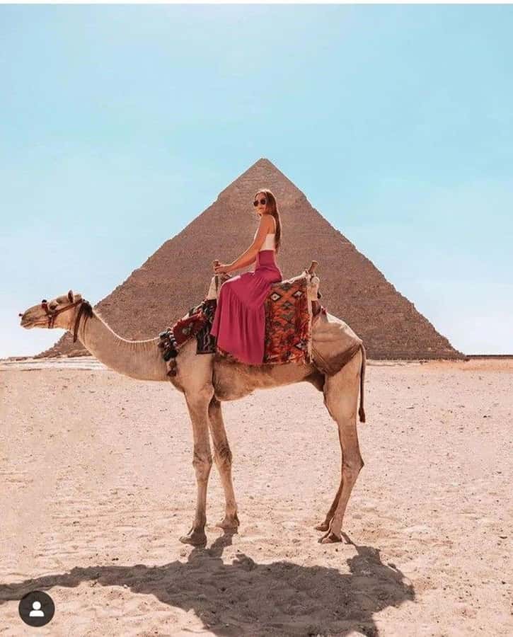 Cairo: Great Pyramids of Giza and Egyptian Museum Tour - Key things that make this tour worth your time