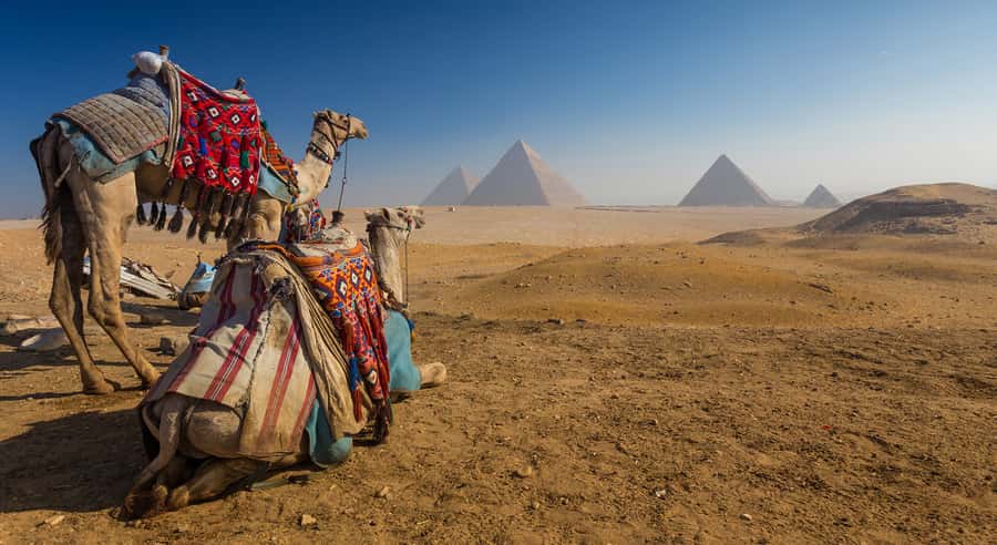 Cairo: Great Pyramids of Giza and Egyptian Museum Tour - The Great Pyramids of Giza: what to focus on besides the photos