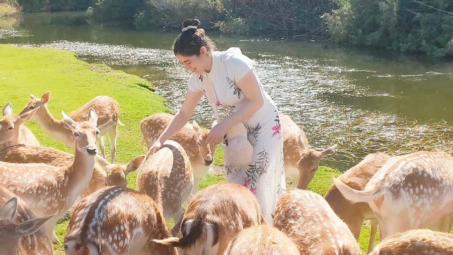 Cairo: Guided Day Trip to Africa Safari Park with Lunch - Getting From Cairo to Beheira Governorate: Private Transfers That Save Time