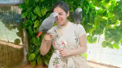 Cairo: Guided Day Trip to Africa Safari Park with Lunch - Africa Safari Park’s River Moat: How the Animal Viewing Works
