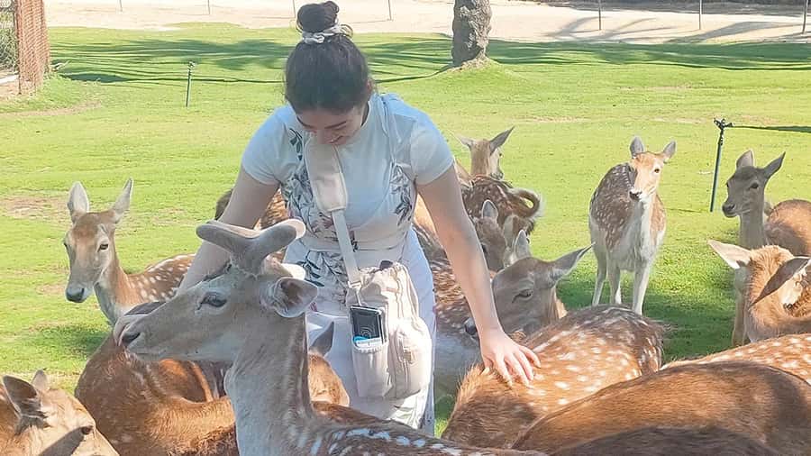 Cairo: Guided Day Trip to Africa Safari Park with Lunch - What’s Included in Your $154 Ticket (and What You’ll Pay Separately)