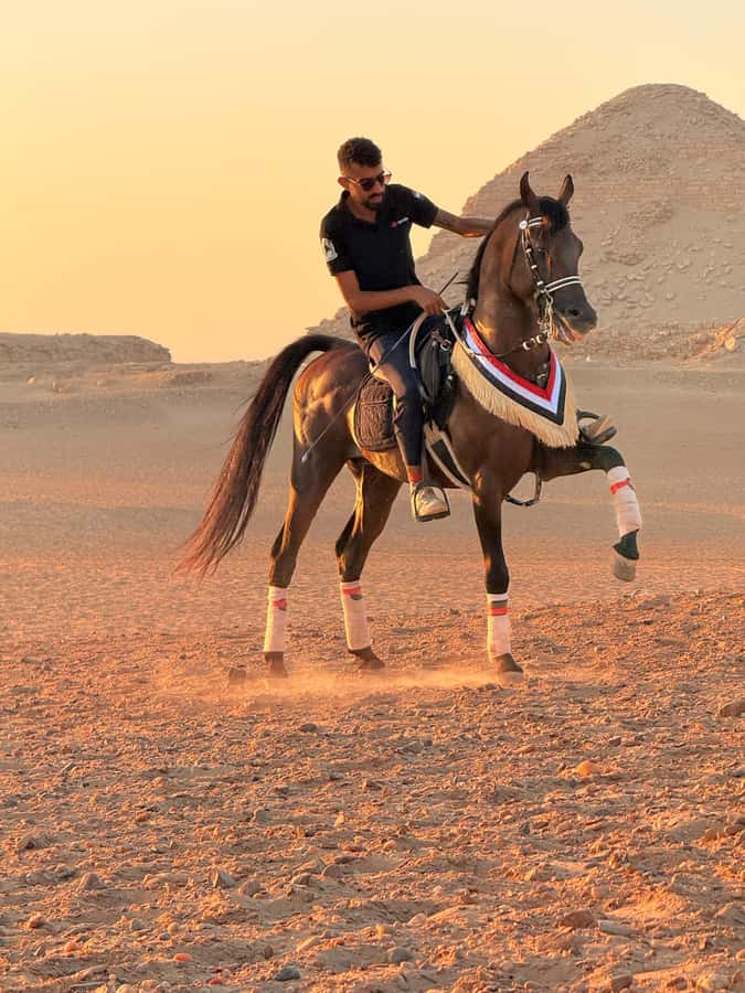 Cairo: Horse Riding tour at Pyramids of Giza - Ticket and what’s included: Giza Plateau access