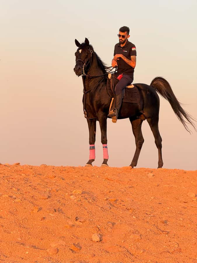 Cairo: Horse Riding tour at Pyramids of Giza - Price and value: how $111 stacks up for what you get