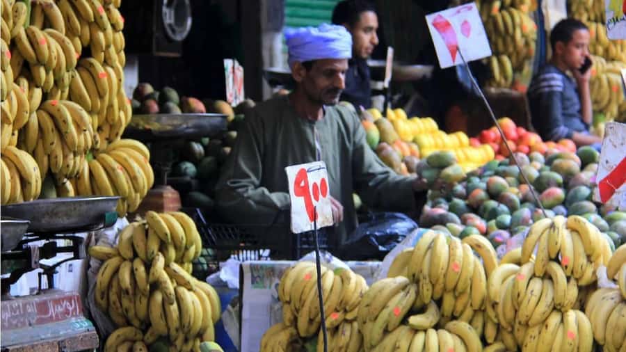 Cairo: Local Market Guided Tour with Tuk-tuk Ride & Lunch - Pickup and the private-vehicle advantage (with a small reality check)