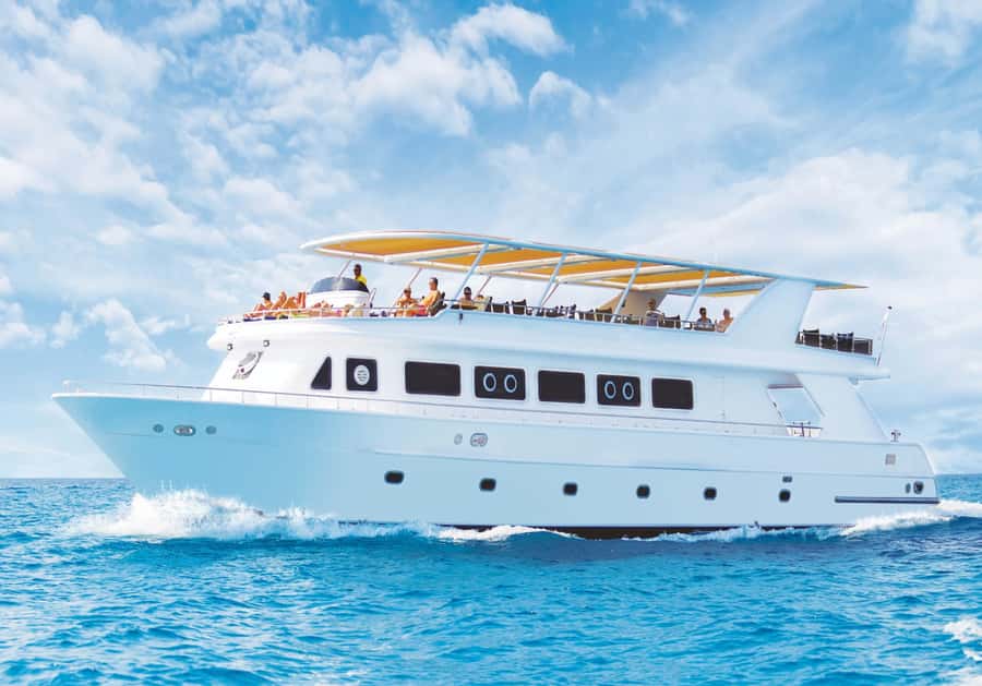 Cairo: Luxury Snorkeling Cruise & lunch with optional pickup - Key things I’d pay attention to