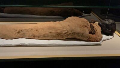 Cairo: National Museum of Egypt Skip-the-Line QR Ticket - Royal Mummies Hall: plan your time around this moment