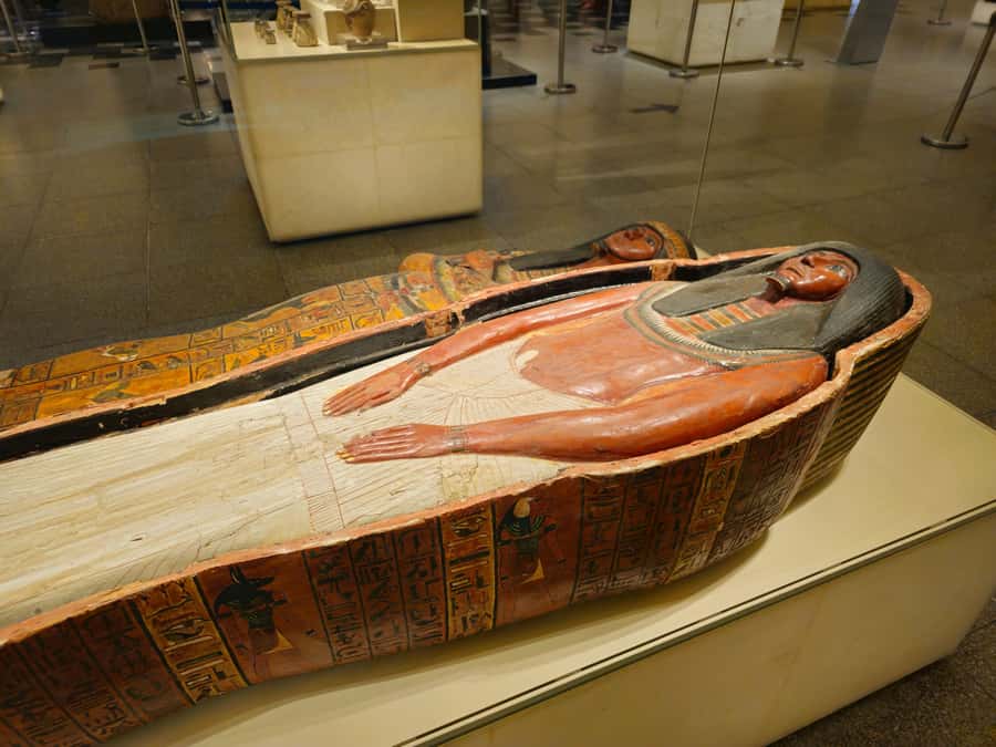 Cairo: National Museum of Egyptian Civilization Entry Ticket - A modern museum that actually helps you read ancient Egypt