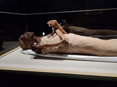 Cairo: National Museum of Egyptian Civilization Entry Ticket - Skip-the-line entry: your best move in a busy museum day