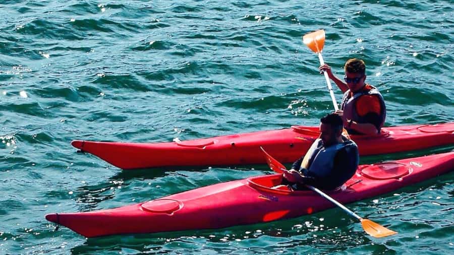 Cairo: Private Nile Kayaking Adventure with hotel transfers. - Should You Book This Private Nile Kayaking Adventure?