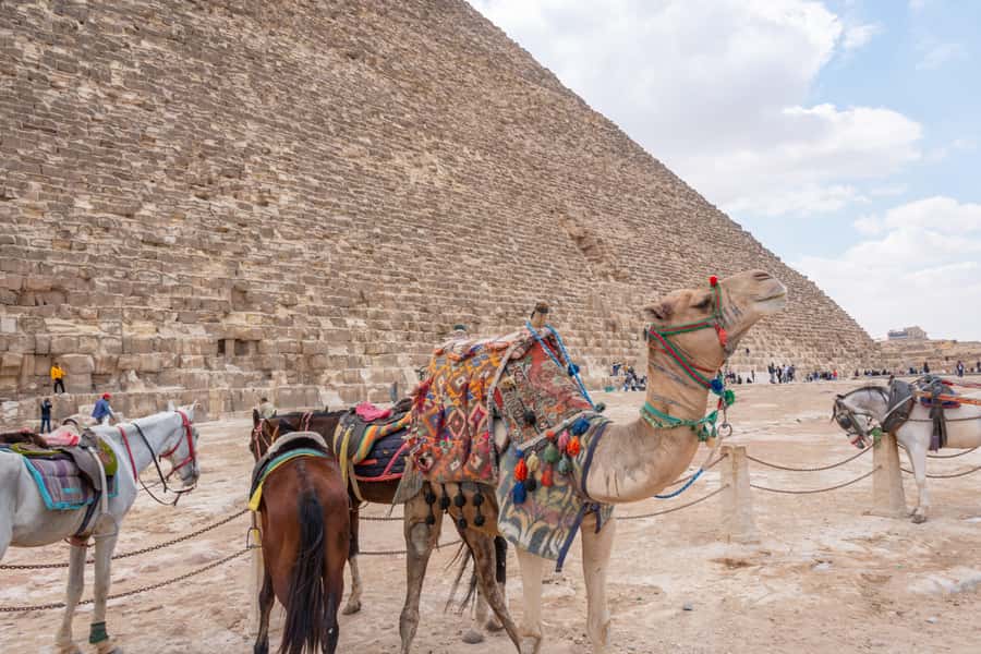Cairo: Pyramids, Memphis, Sakkara & Dahshur Luxury Adventure - Price and logistics: is $157 really good value?