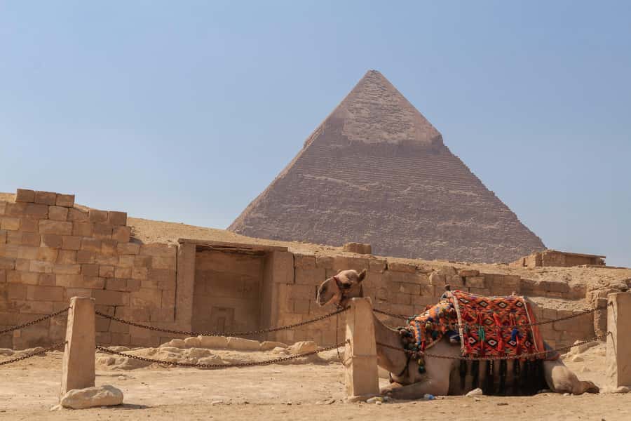Cairo: Pyramids, Sphinx & Grand Egyptian Museum Private Tour - Price and logistics: what $155 includes, plus where extra pickup costs can appear