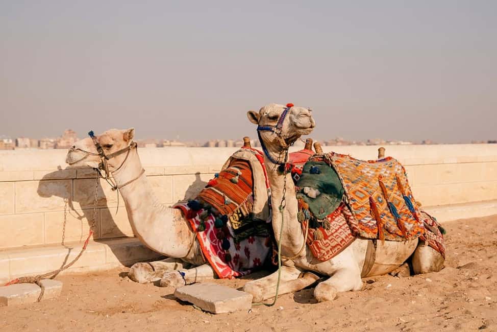 Cairo: Quad Bike Adventure at Giza Pyramids W/ Camel Ride - What to bring (and what to skip) for a smooth desert day