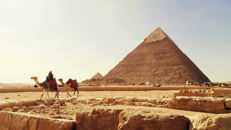 Cairo: Sunrise Camel Ride, Pyramids Tour & Local Breakfast. - Price and Value: Is $101 a Smart Deal?