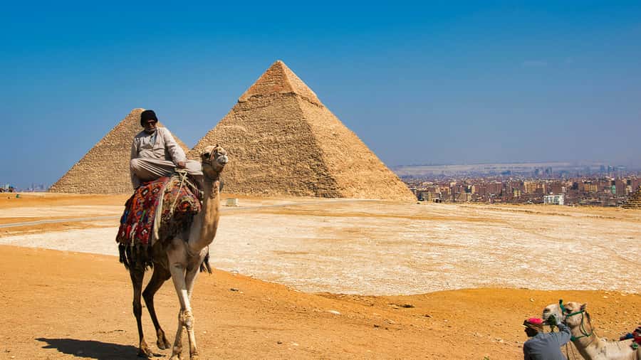 Cairo: Sunrise Camel Ride, Pyramids Tour & Local Breakfast. - Should You Book This Cairo Sunrise Pyramids Tour?
