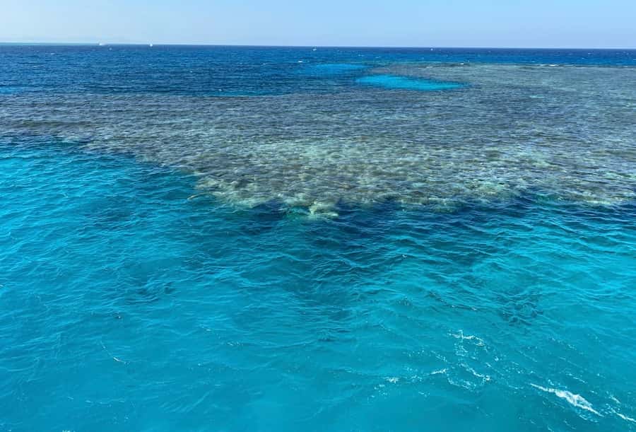 Cairo to Red Sea: VIP Yacht Cruise, Snorkeling & Lunch - Key things I’d clock before you go