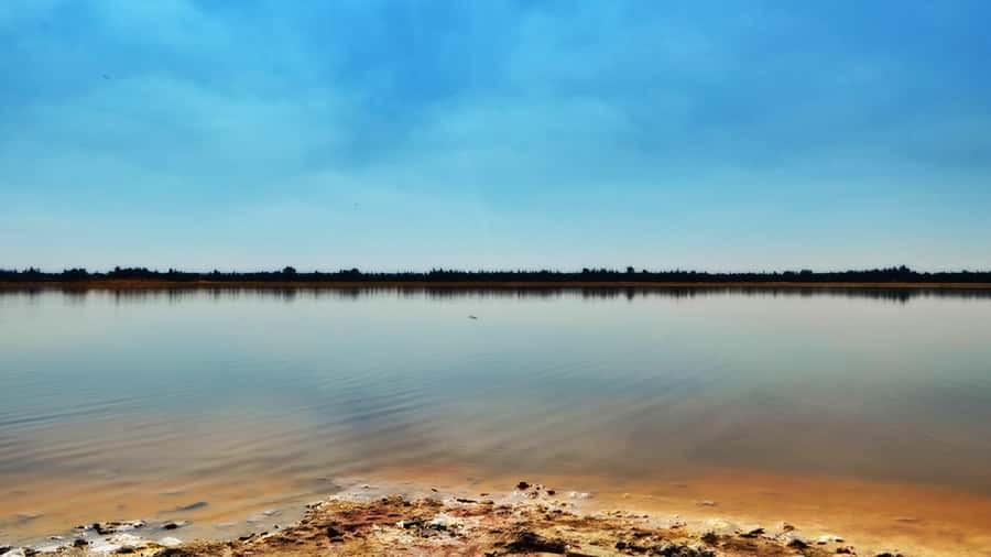 Cairo :Tour to Wadi El Natron Monastery from Cairo - Pricing and value: what $143 includes (and why it can be worth it)