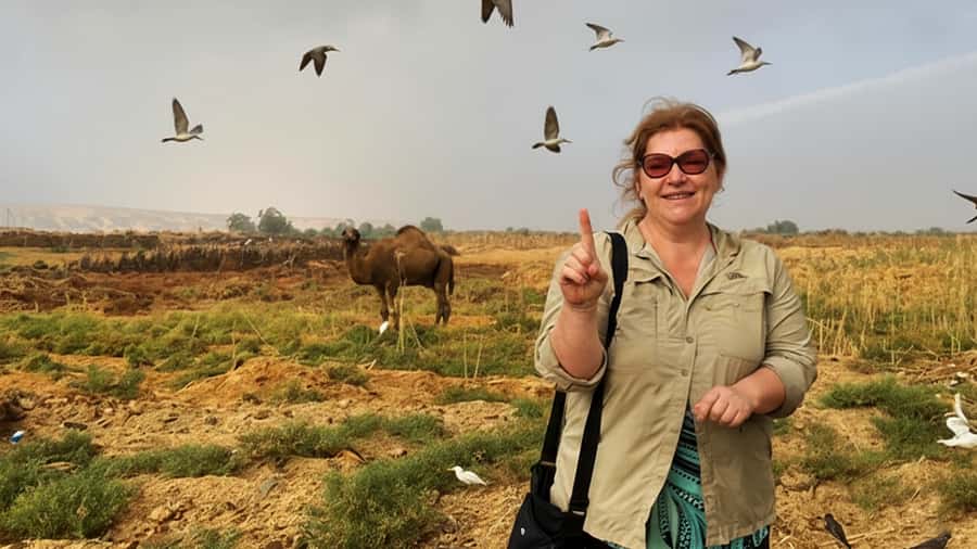 Cairo: Wadi El Ryan Fayoum Oasis &Bird Watching Private Tour - Key Points Worth Your Attention