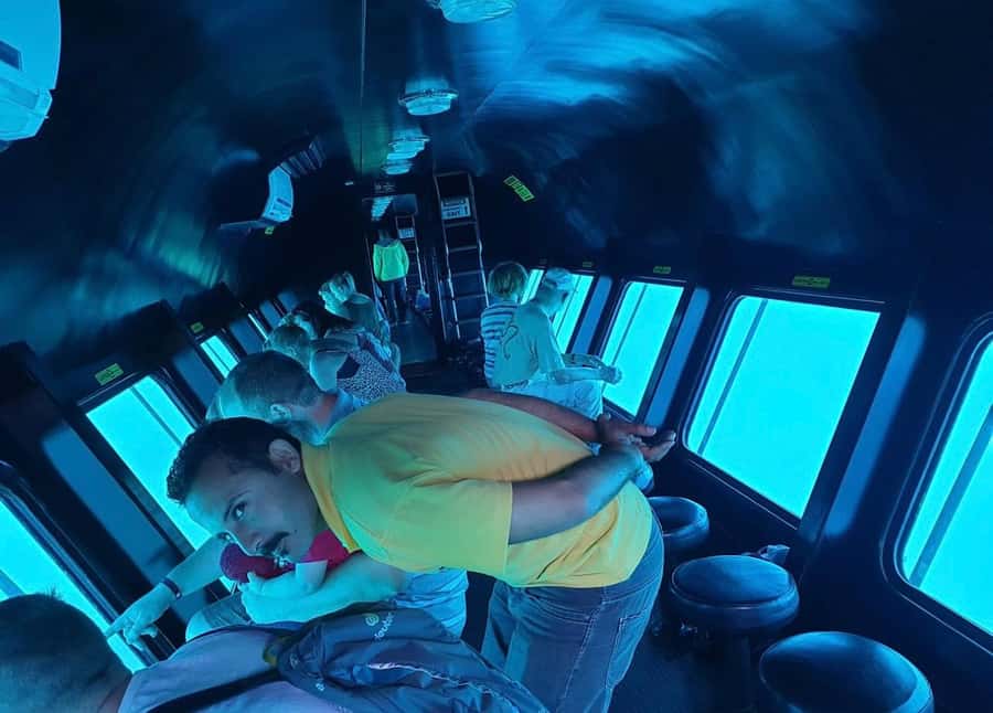 Dahab: Royal seascope Semi-Submarine Cruise - What You’ll See: colorful fish, coral, and the limits of a reef loop