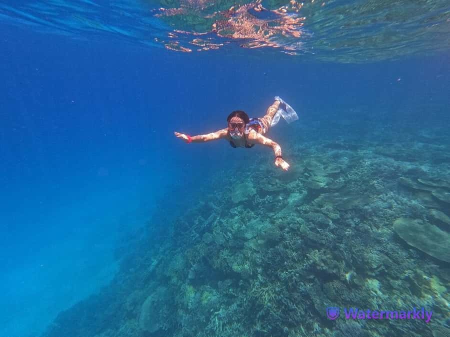 Dolphin house snorkeling trip - Key things I think are worth your attention