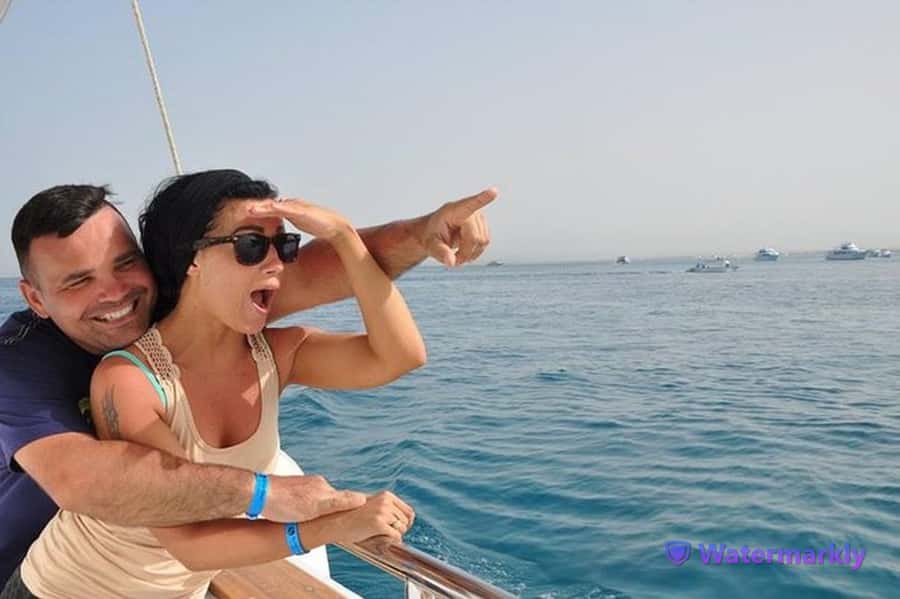 Dolphin house snorkeling trip - Snorkeling coral reef time with gear included