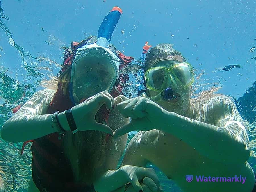 Dolphin house snorkeling trip - The onboard setup: buffet lunch, soft drinks, and kid-friendly touches