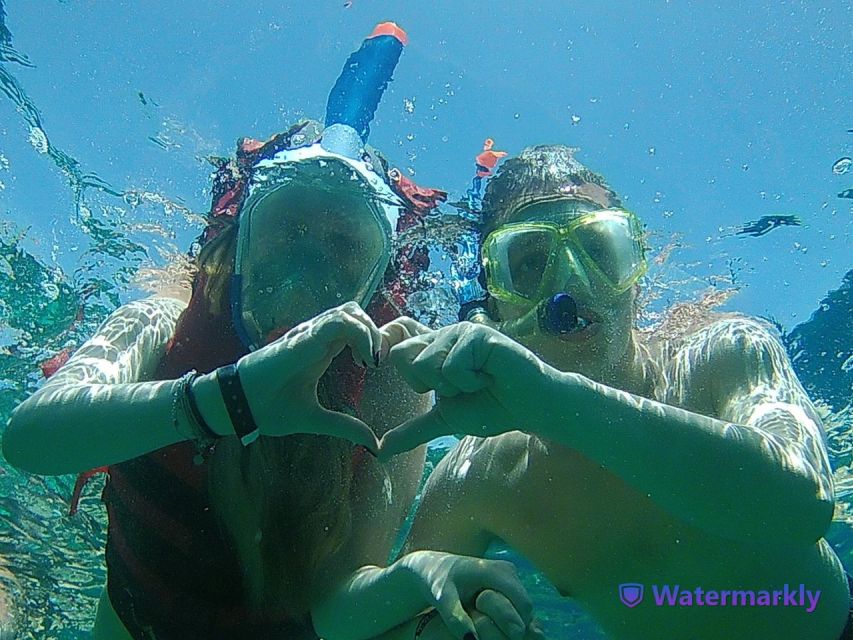 Dolphin house snorkeling trip - What to pack (and what to handle before you go)