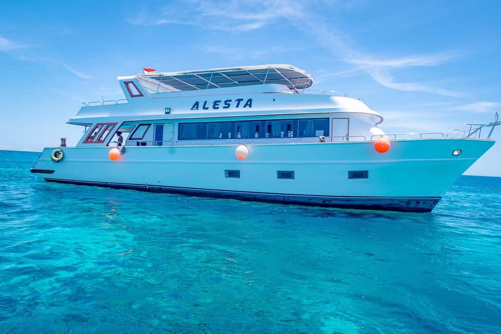 Dolphin Tour with Red Sea Fun. The Best in Hurghada - From Hilton Plaza to Dolphin Time in the Red Sea
