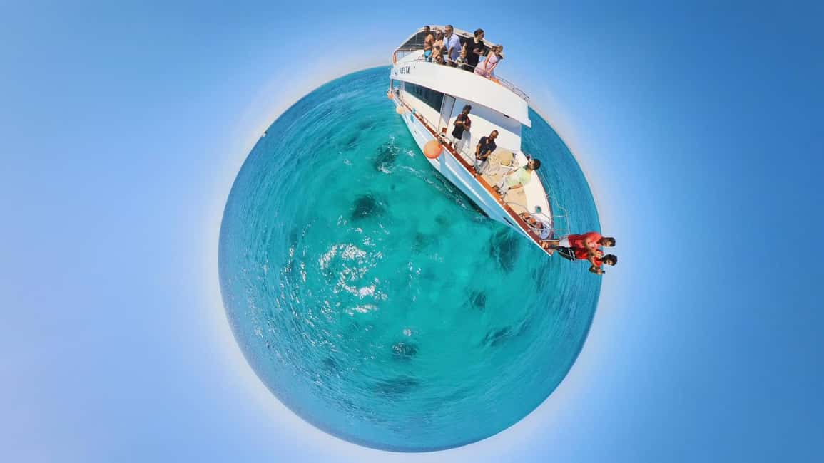 Dolphin Tour with Red Sea Fun. The Best in Hurghada - Finding Dolphins First: What the Experience Really Feels Like